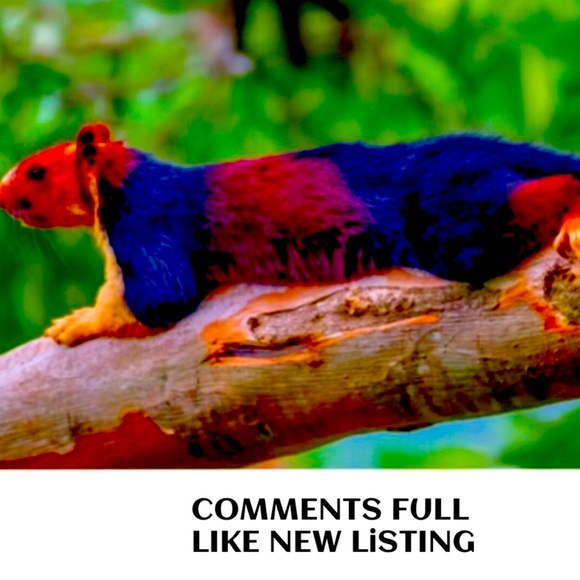 Accessories - 💥COMMENTS FULL LIKE NEW FOLLOW GAME #2 With the 🥕 carrot.